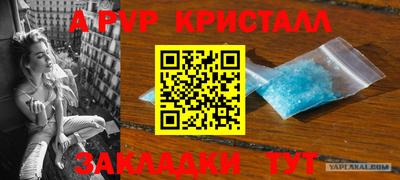 сатива Ставрополь