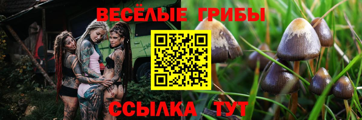 Новотроицк  наркошоп  Вход с VPN  Псилоцибиновые грибы Psilocybine cubensis  Псилоцибиновые грибы мухоморы 